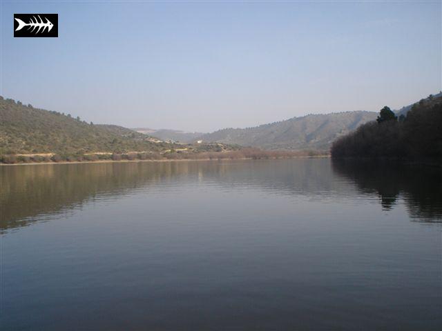 caspe 2005 suite 043.jpg